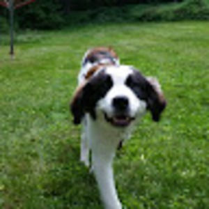 Meet your Posher, Derek